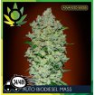 Auto Bio Diesel Mass 