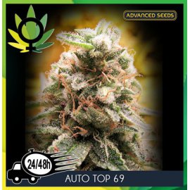 Top 69 Autofloración