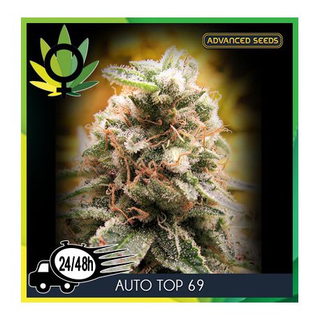 Top 69 Autofloración