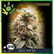 Auto Top 69 