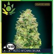 Auto Afghan Skunk