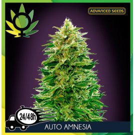 Auto Amnesia