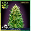 Auto Amnesia