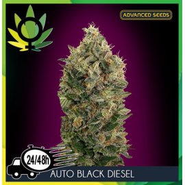 Auto Black Diesel