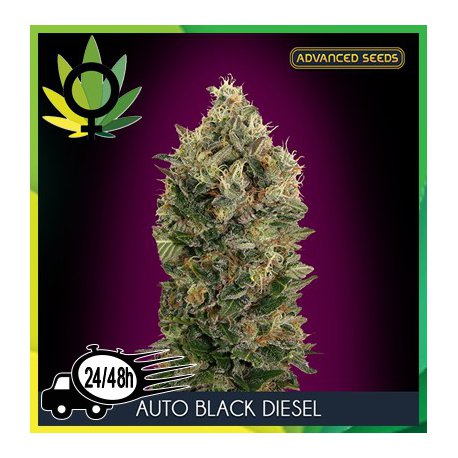Auto Black Diesel