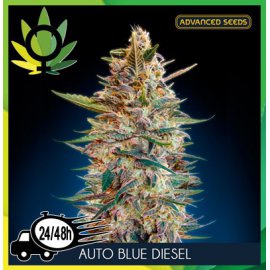 Auto Blue Diesel
