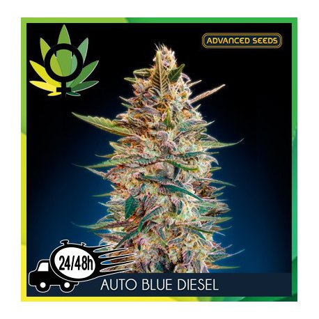 Auto Blue Diesel