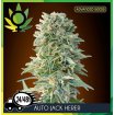 Auto Jack Herer