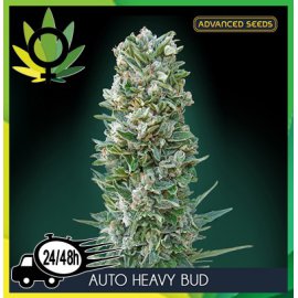 Auto Heavy Bud