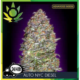Auto NYC Diesel