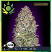 Auto NYC Diesel