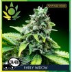 Early Widow A