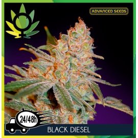 Black Diesel