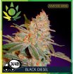 Black Diesel