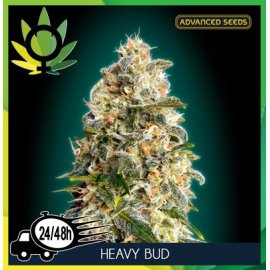 Heavy Bud