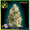 Heavy Bud