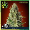 Kali 47