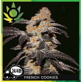 French Cookies
