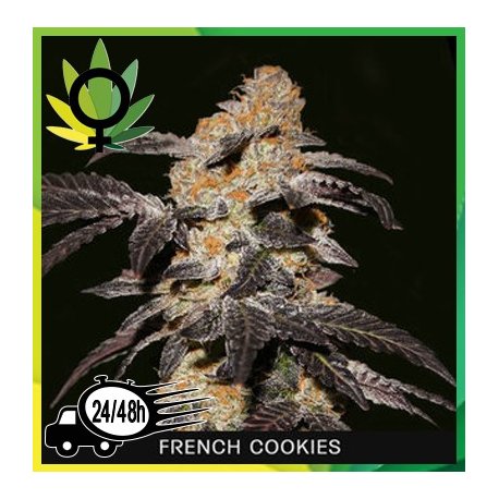 French Cookies