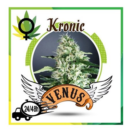 Kronic