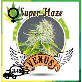 Super Haze