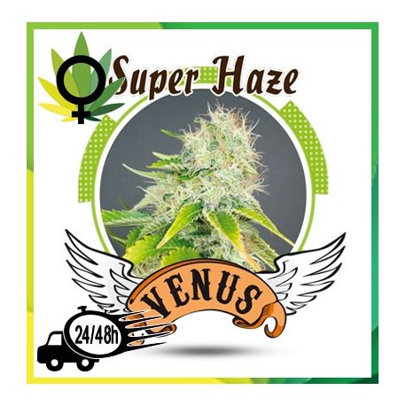 Super Haze
