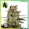 AutoBlueberry 