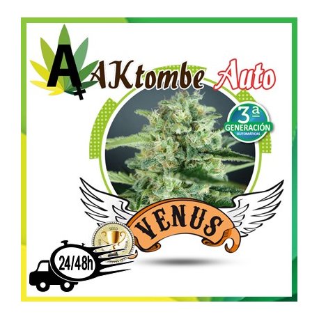 AKTombe Autofloración