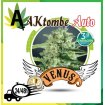 AKTombe Auto