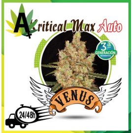 Kritical Max Autofloración