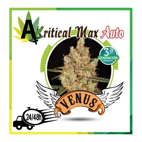 Kritical Max Autofloración