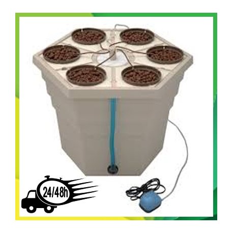 Juego de 6 adaptadores para macetas 2"