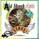 Red Skunk Auto