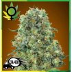 Critical Mass
