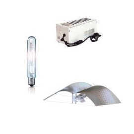 Kit 600W con Adjust Awings Bombilla Mixta