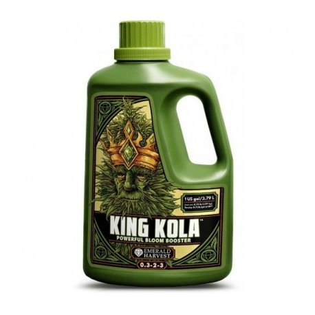 King Kola