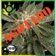 LA Confidential