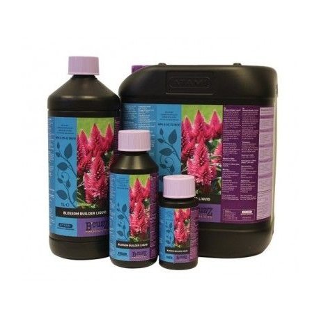 Blossom Builder Liquid