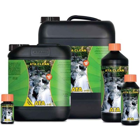 ATA CLEAN