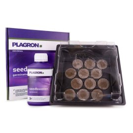 Seed Box