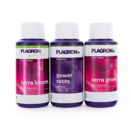 Starter Set Terra 