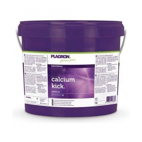 Calcium Kick