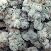 Jagg Kush
