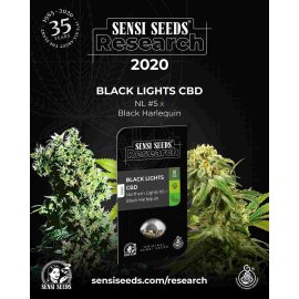 Black Ligth CBD Auto