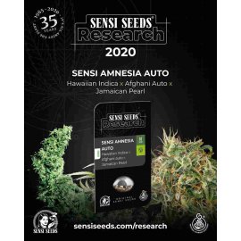 Sensi Amnesia Auto