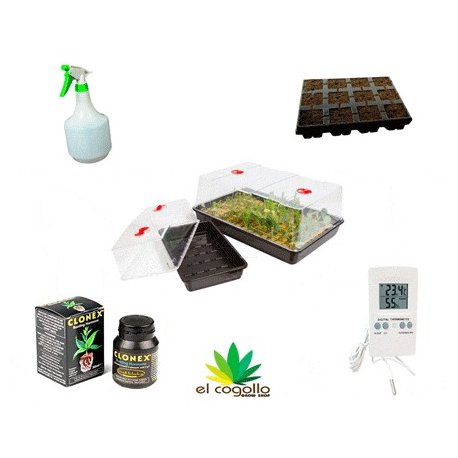 Kit para 24 esquejes Garland