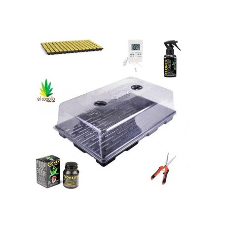 Kit de esquejes propagador Grande 