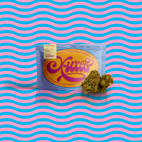 Xuxes Gelato CBD 3 gr