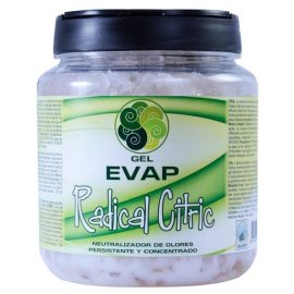Ambientador Evap Air 900ml