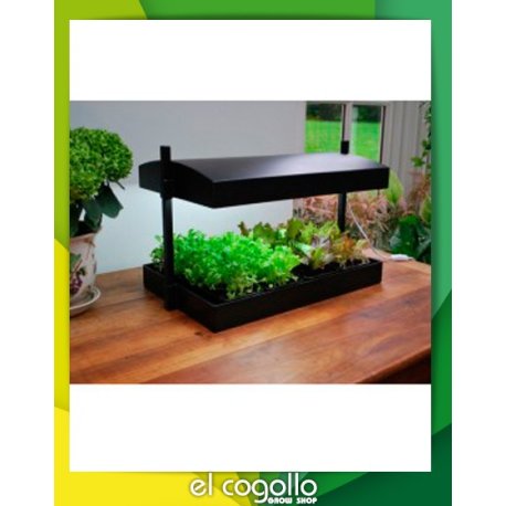 Equipo Grow Light Garden
